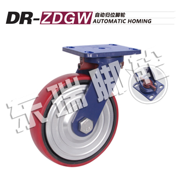 DR-ZDGW�Զ���λ����
